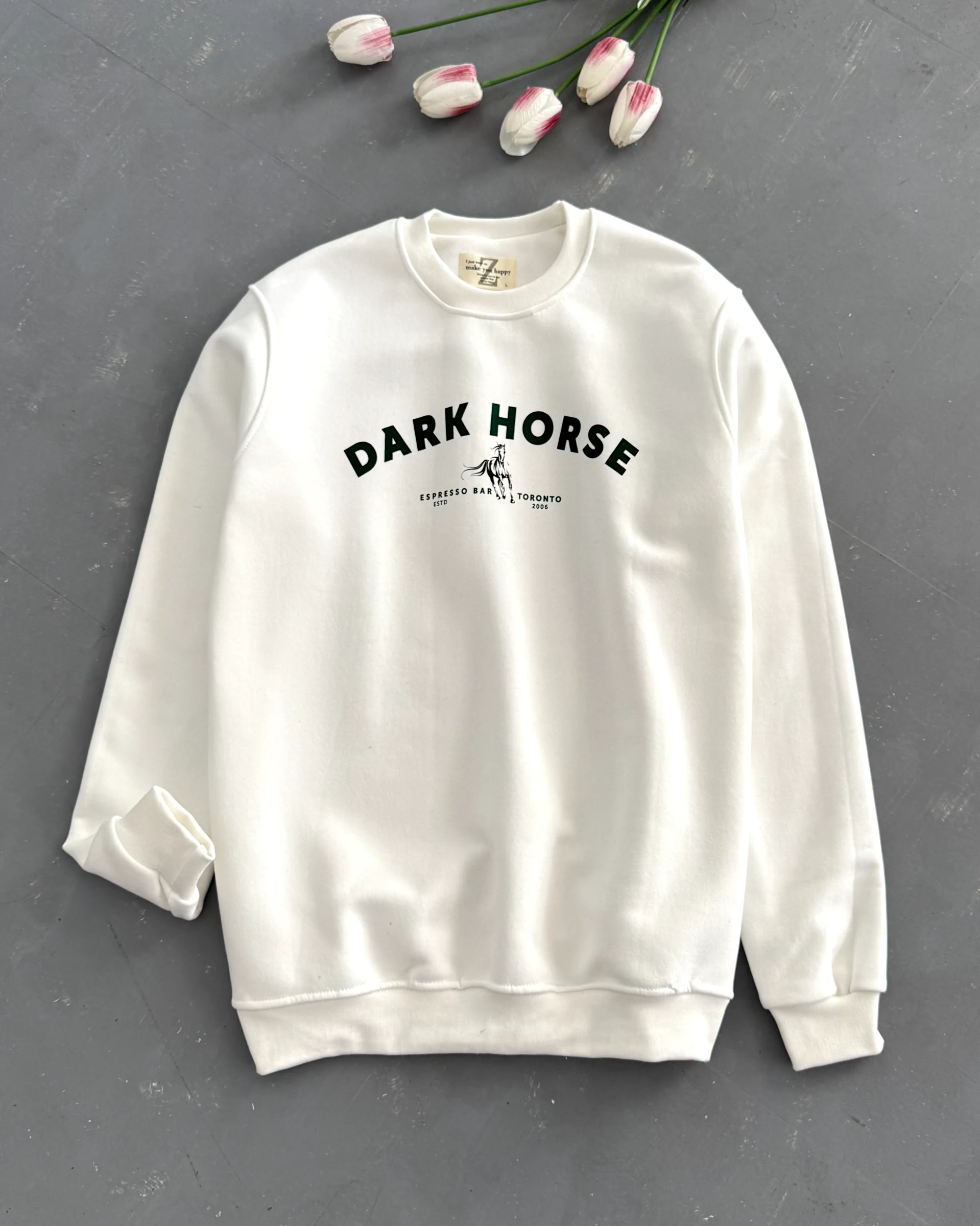 دورس طرح Dark horse